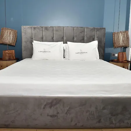 酒店 Levent Lavandula