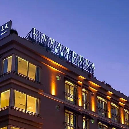 Levent Lavandula Istambul