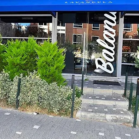 Levent Lavandula 3*