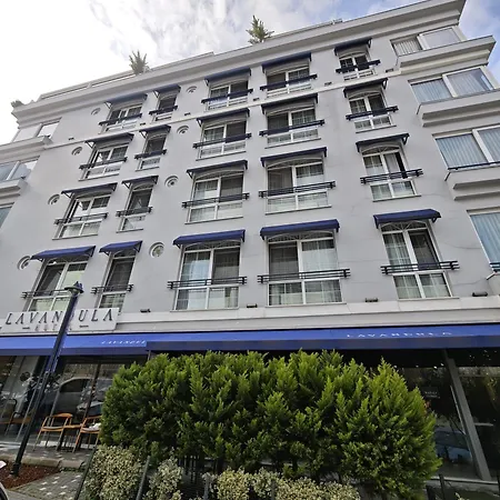 Levent Lavandula 3*