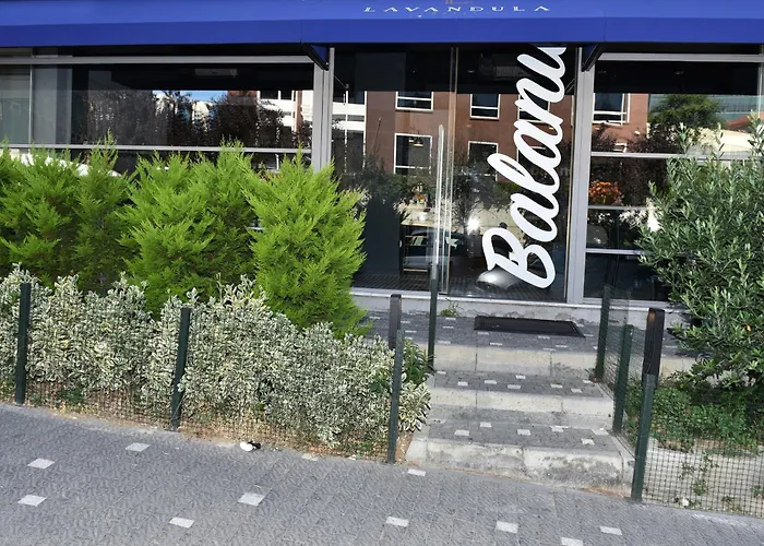 Hotel Levent Lavandula 3*